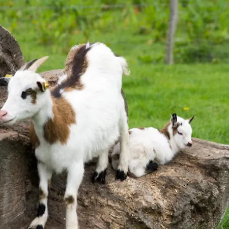 Feriengut Gaarz - Kavaliershaus 17 *