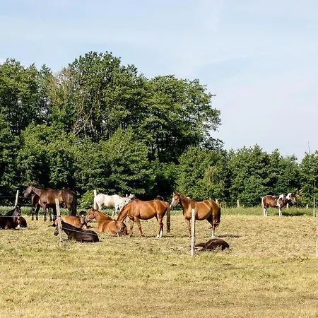Feriengut Gaarz - Kavaliershaus 17