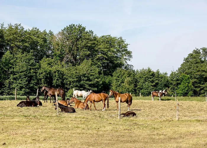 Lägenhet Feriengut Gaarz - Kavaliershaus 17