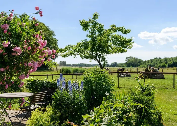 Feriengut Gaarz - Kavaliershaus 17 Lägenhet Gohl